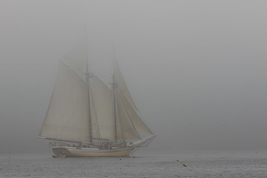 Windjammer in Fog Photograph by Colin Chase