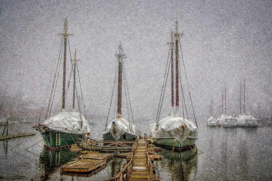 Windjammers in Winter Photograph by Fred LeBlanc
