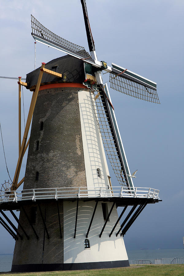 Dutch Windmill Photograph by Aidan Moran
