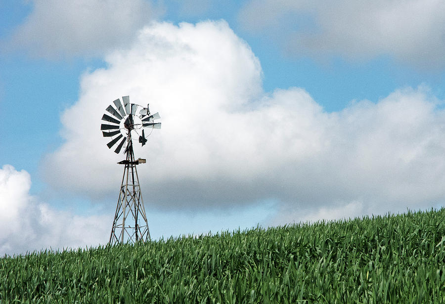 Windmill and Bird Photograph by Doug Davidson