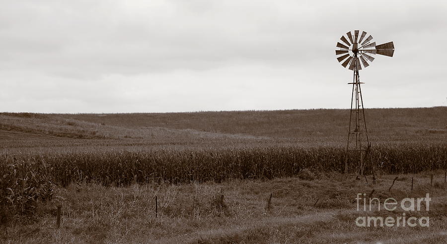 Windmill and Cornfield 7003 Photograph by Ken DePue