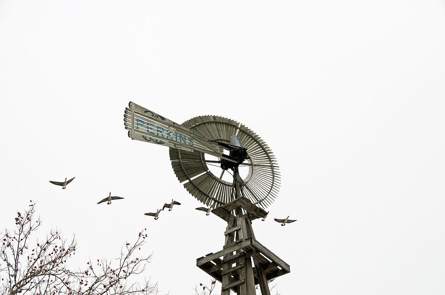 Windmill and Geese Photograph by David Arment
