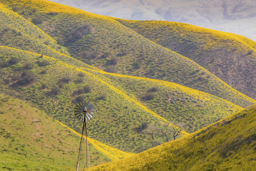 Windmill and Golden Ridges Photograph by Marc Crumpler