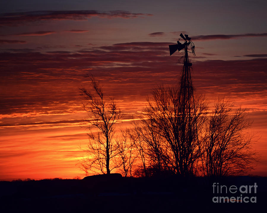 Windmill And Trees At Sunrise Photograph by Kathy M Krause