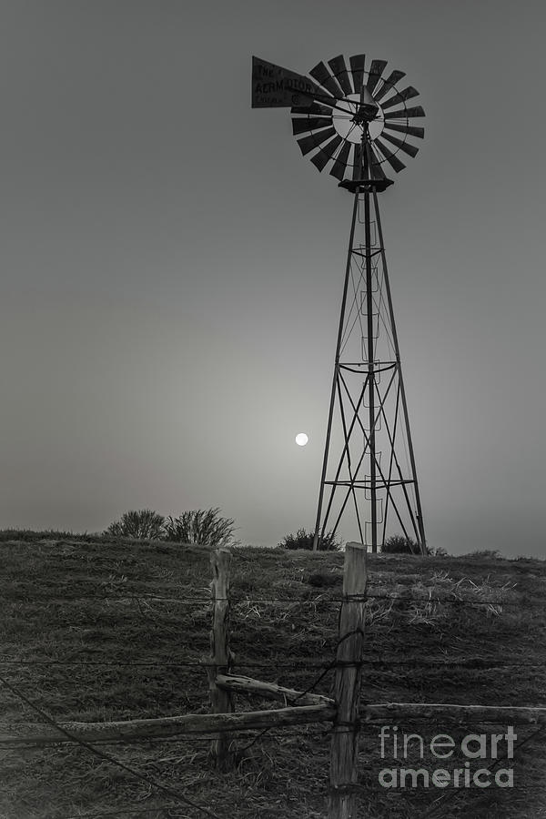 Windmill At Dawn Photograph