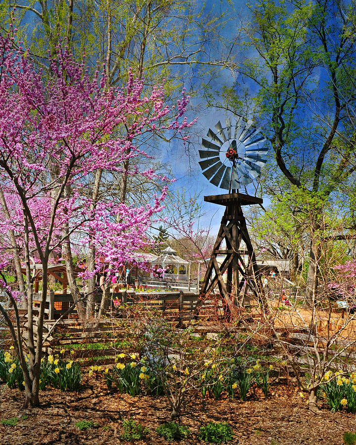 Windmill At The Garden Photograph by Marty Koch