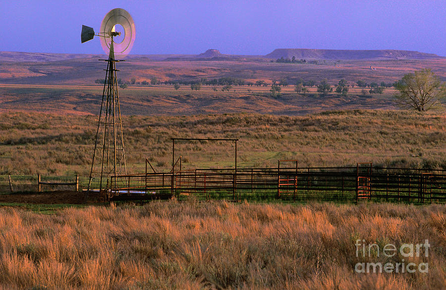 Windmill Cattle Fencing Texas Panhandle Photograph by Dave Welling