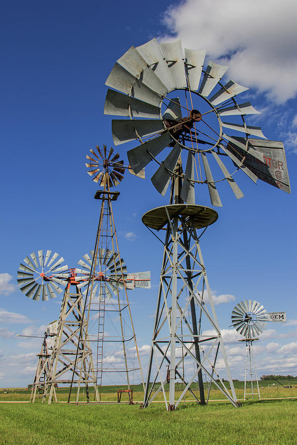 Windmill Collection Photograph