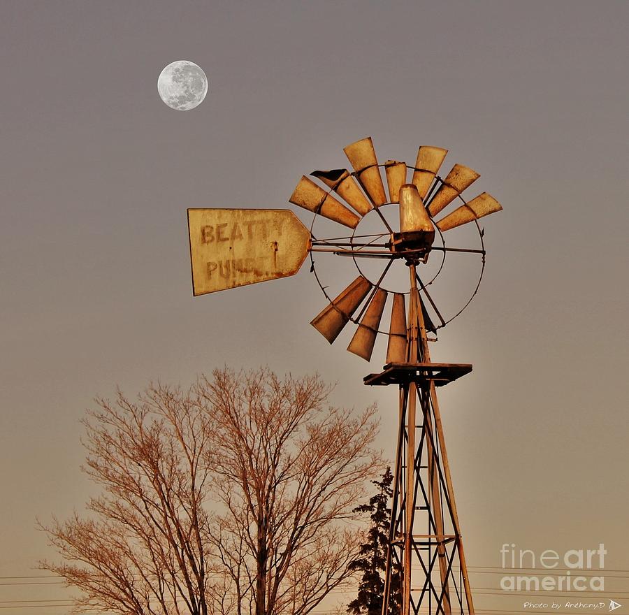 Sunset Photograph - Windmill Fullmoon by Anthony Djordjevic