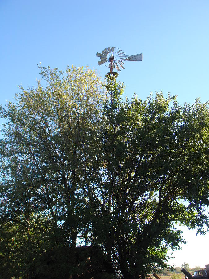 Tree Photograph - Windmill II by Bonfire Photography