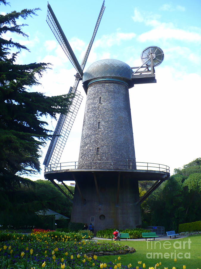 San Francisco Photograph - Windmill in Golden Gate Park by Carol Groenen