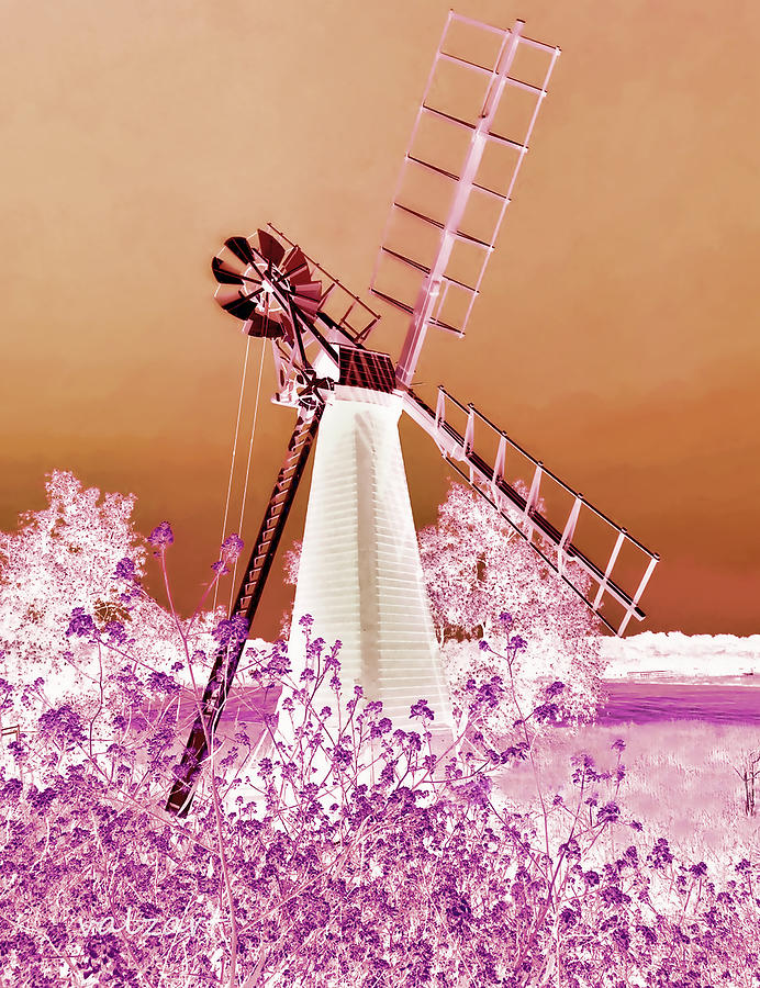 Flower Photograph - Windmill in the pink by Valerie Anne Kelly