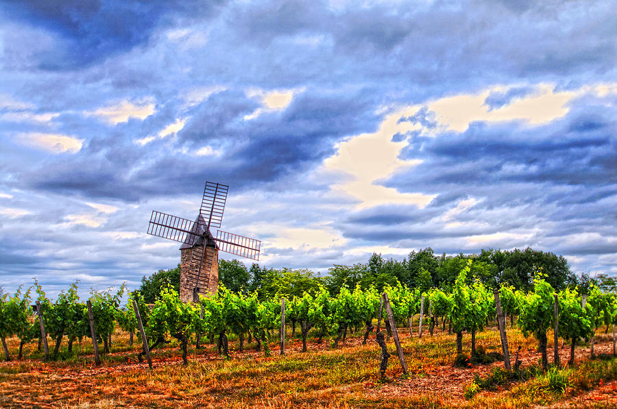 Windmill in the Vineyard Photograph by Christine Czernin Morzin - Fine ...