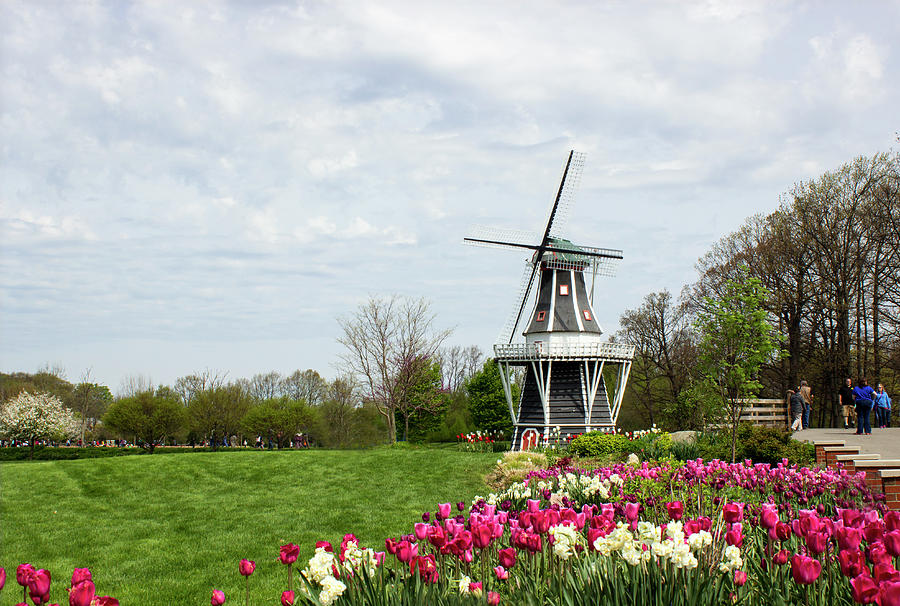 Windmill Landscape Photograph by Tammy Chesney