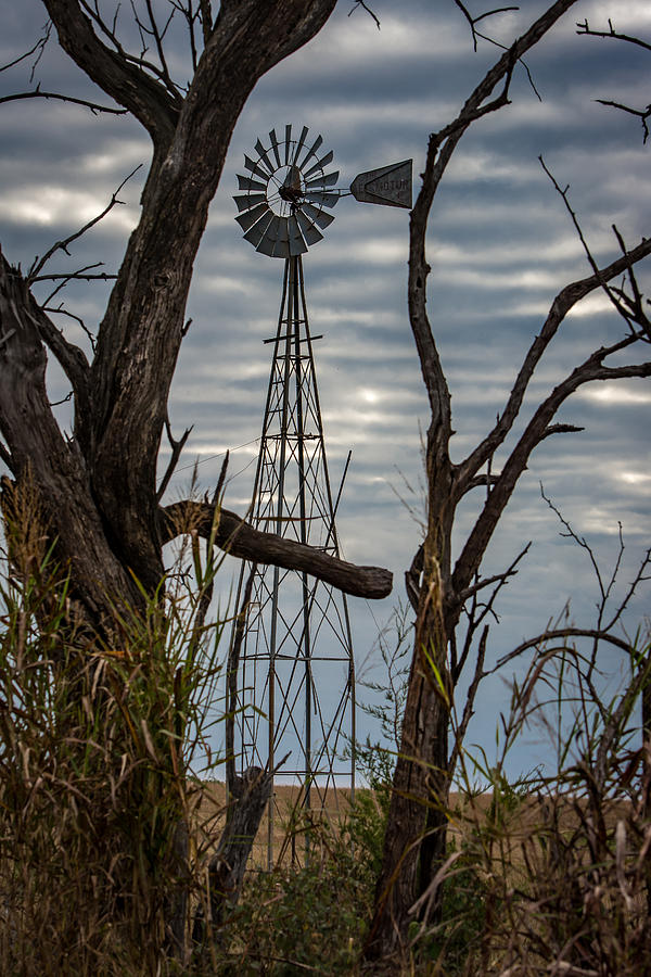 Nature Photograph - Windmill by Larry Pacey