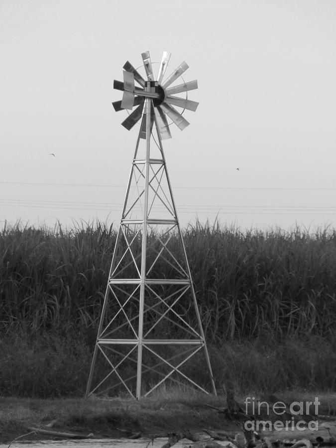Windmill Photograph by Michelle Powell