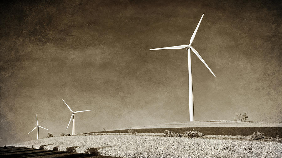 Windmills      Black And White Photograph