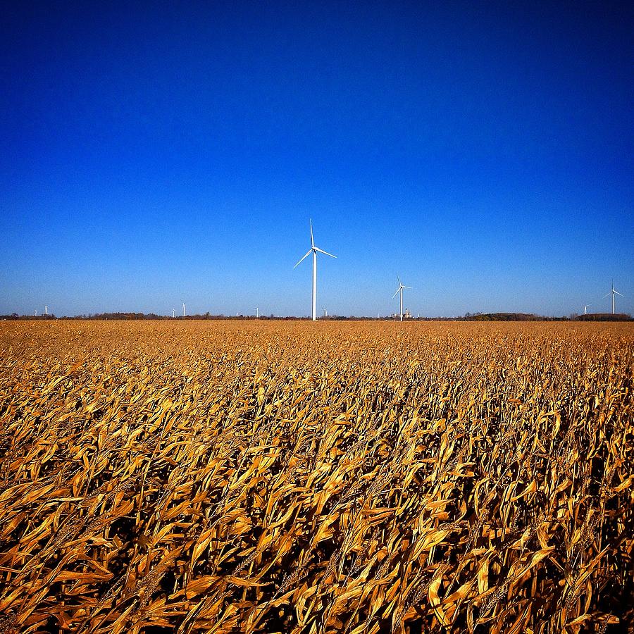 Windmills and Corn Photograph by Chris Brown