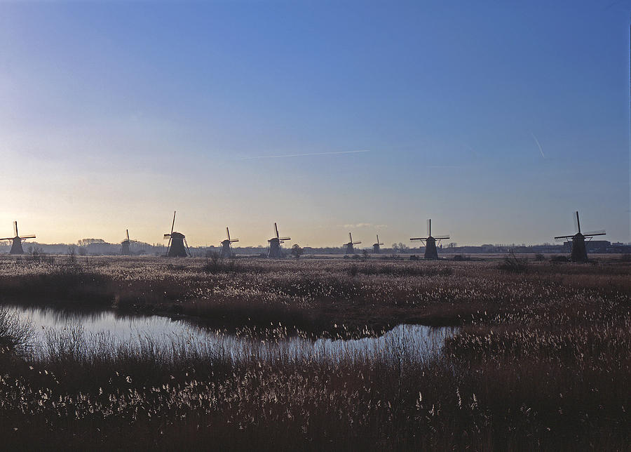 Windmills at Kinderdijk in wintersun Photograph by Casper Cammeraat