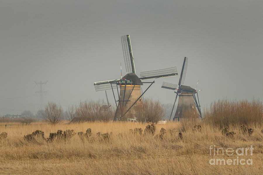 Windmills at Kinderjik Photograph by Eva Lechner