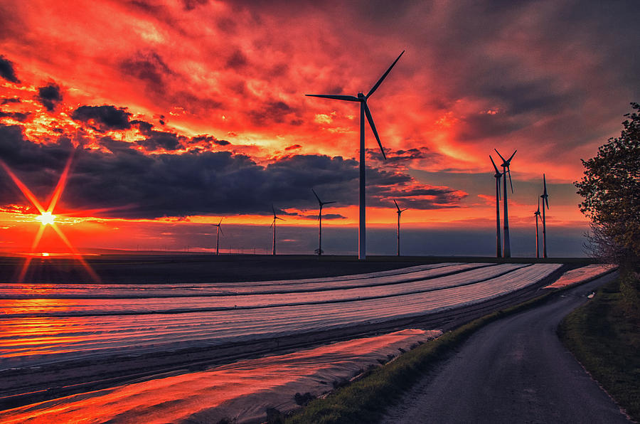 Sunset Photograph - Windmills At Sunset by Happy Home Artistry