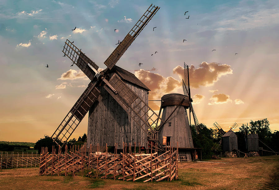 Windmills of Estonia Photograph by Jaroslaw Blaminsky