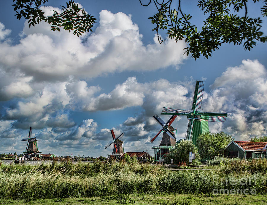 Windmills of Holland Photograph by Shirley Mangini