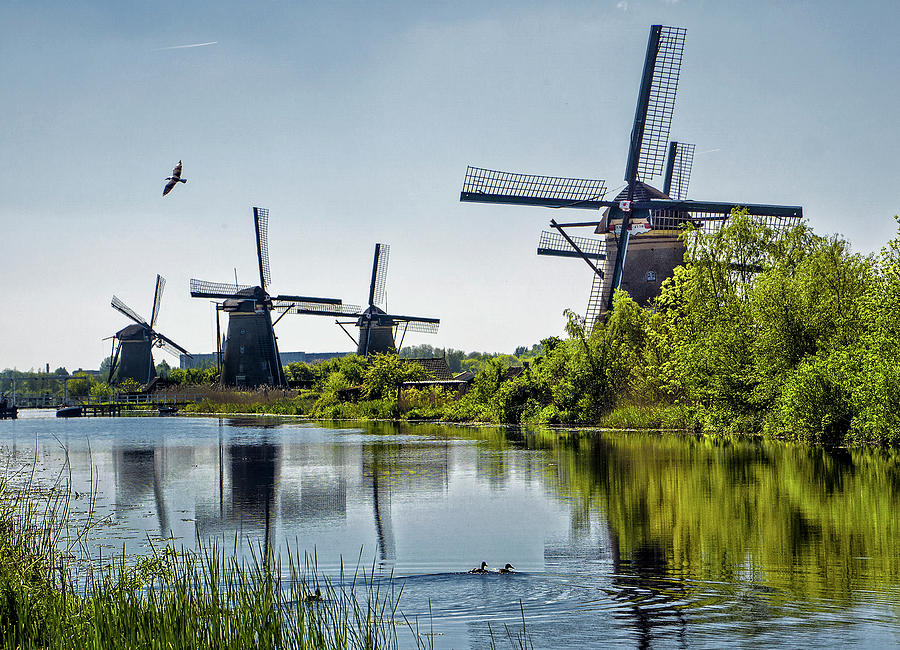 Windmills of Kinderdijk, Netherlands Photograph by Phil Cardamone