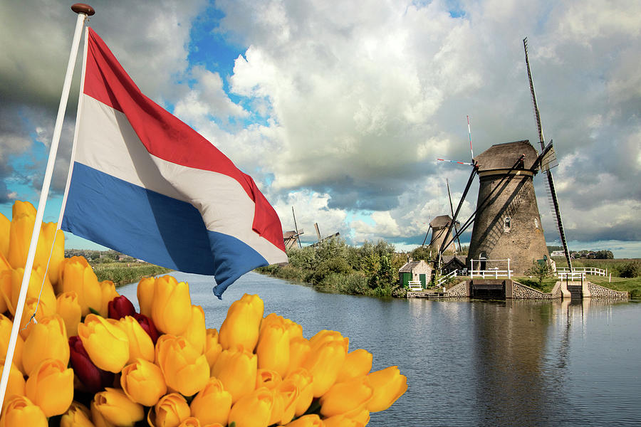 Windmills of Kinderdijk the Netherlands by Adriana Zoon Windmills of Kinderdijk the Netherlands by Adriana Zoon