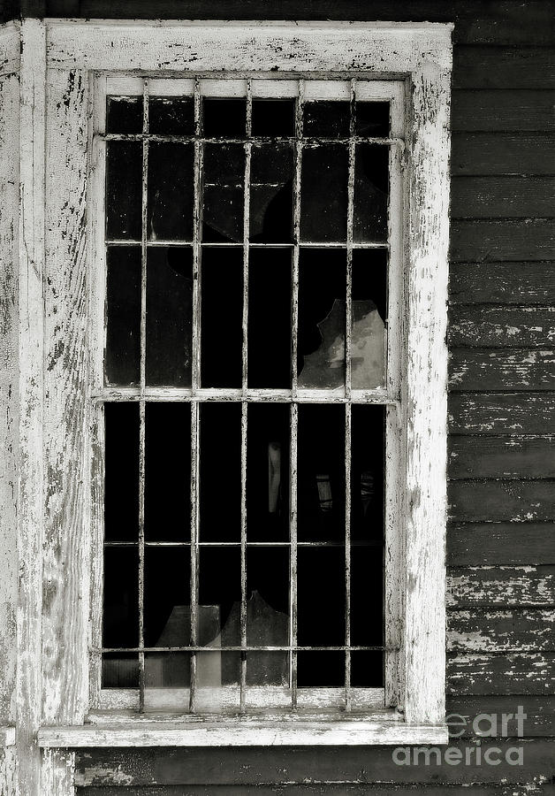 Window-Abandoned Store Photograph by David Waldrop