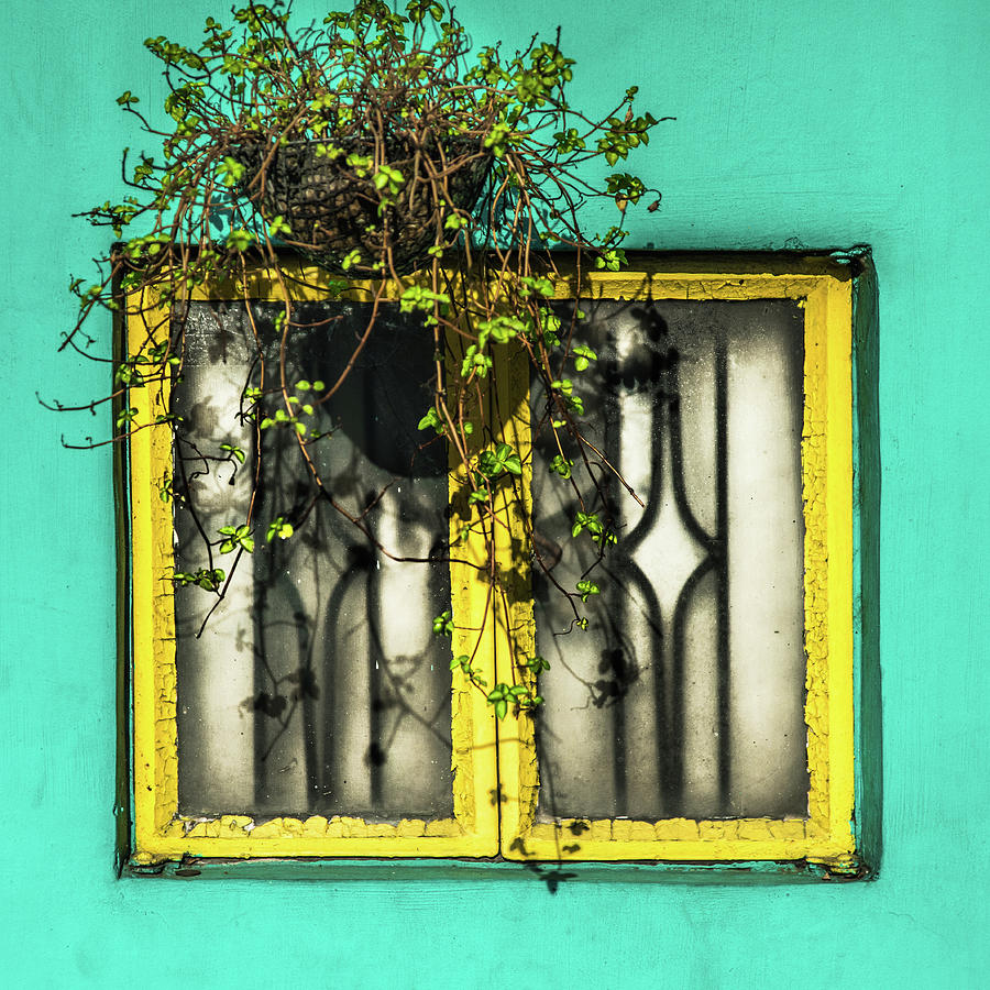 Window And Basket Photograph by Michael Arend