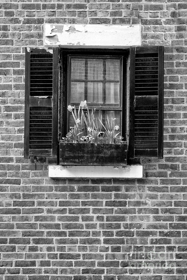 Architecture Photograph - Window and Brick bw by Jerry Fornarotto