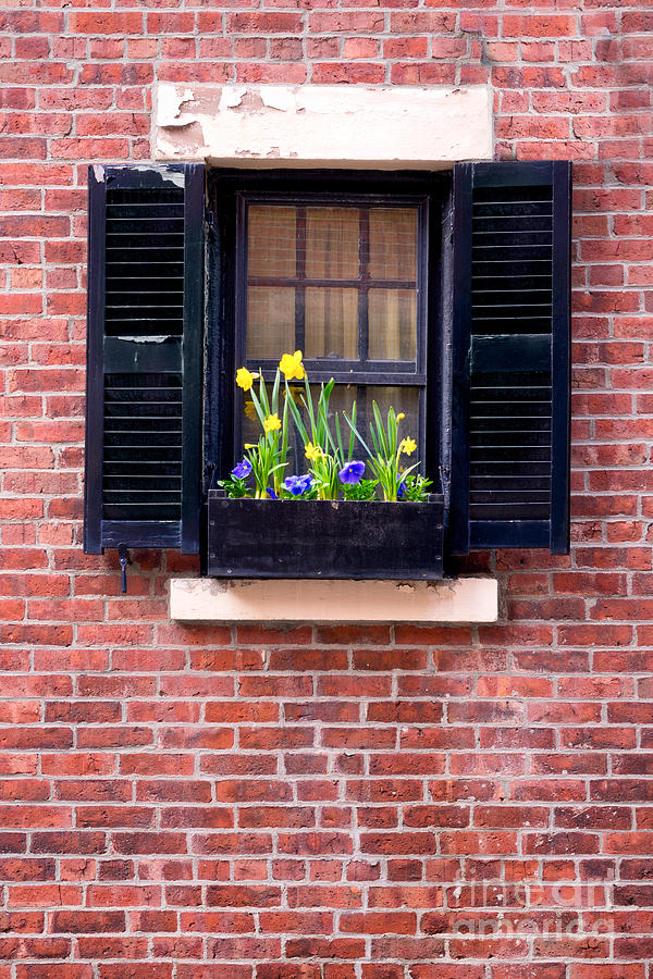Architecture Photograph - Window and Brick by Jerry Fornarotto