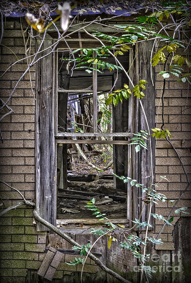 Window and Door Photograph by Walt Foegelle