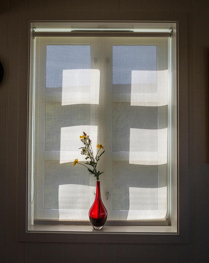 Architecture Photograph - Window And Flower Vase by Panoramic Images
