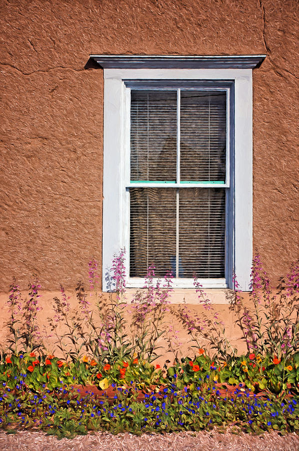 Flower Photograph - Window and Flowers Detail - Barrio Historico - Tucson by Nikolyn McDonald