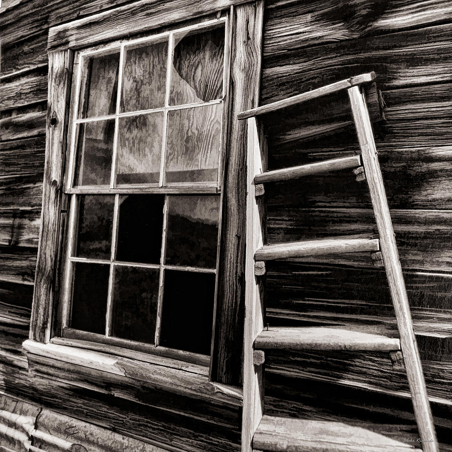 Window And Ladder Photograph by Blake Richards