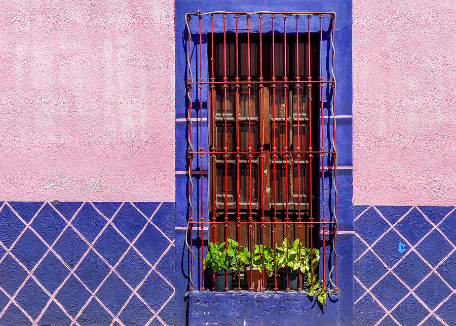 Window And Pink Wall Photograph by Douglas J Fisher