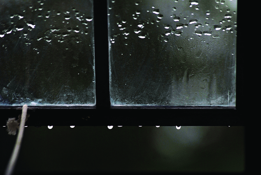 Window and Raindrops Photograph by Steve Somerville