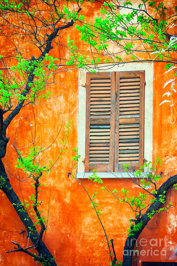 Architecture Photograph - Window and tree by Silvia Ganora