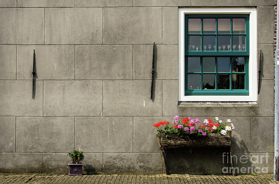 Window and wood planter in Edam Photograph by RicardMN Photography