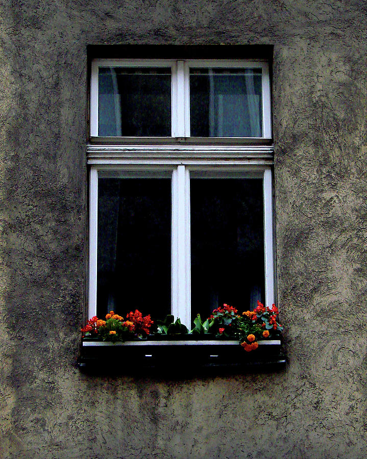 Flower Photograph - Window at Lange Gasse, Vienna by Iqbal Misentropy