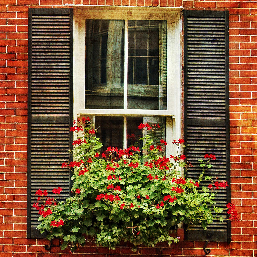 Window Box Photograph by Joann Vitali