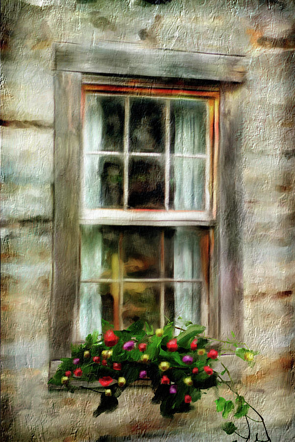 Window Box Photograph by Mary Timman