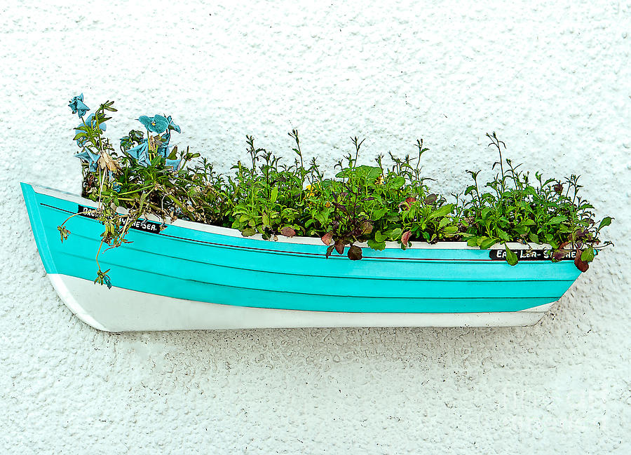 Window Box Photograph by Nick Eagles