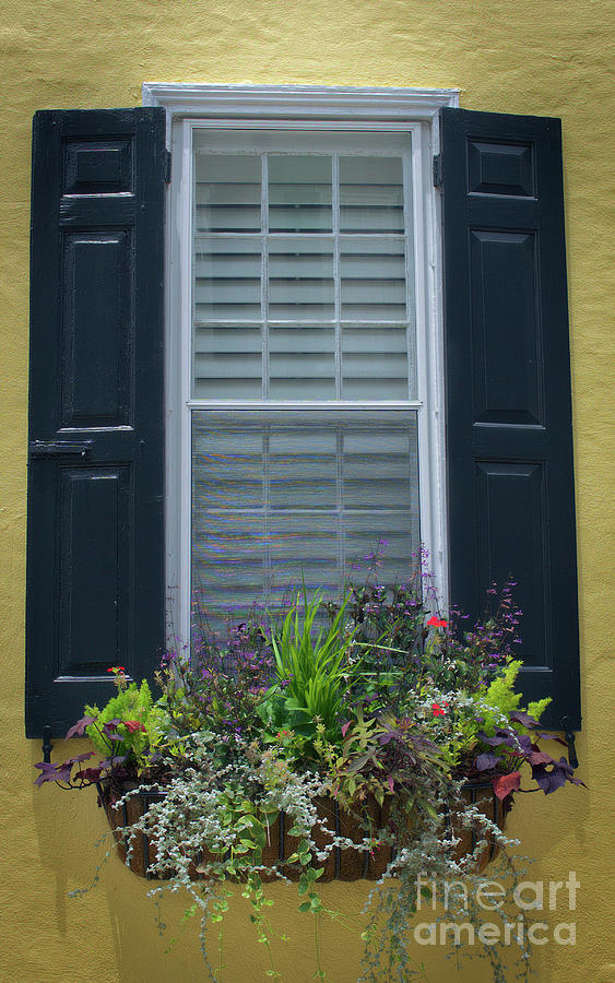 Window Box No. 1 Photograph by Skip Willits