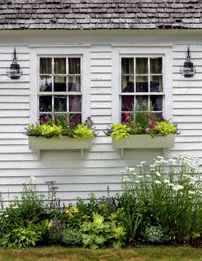 Flower Photograph - Window Boxes and Flowers by Betty Denise
