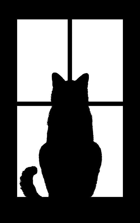 Window Cat Digital Art by Garaga Designs