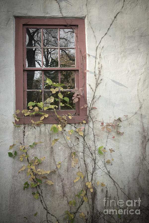 Window Photograph by David Rucker