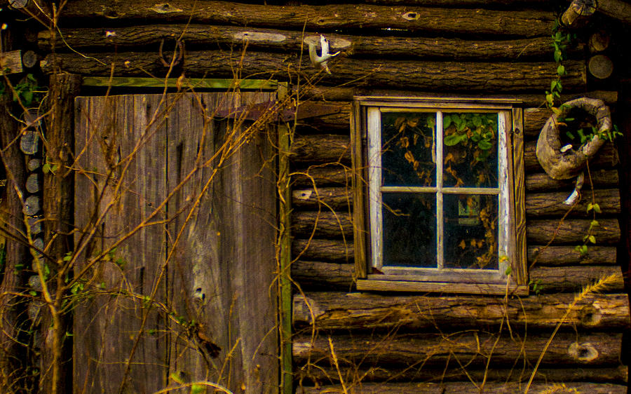 Window - Door Photograph by Jeff Kurtz